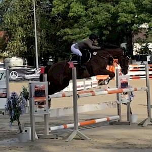 Emily Arnegger (in Bregenz)