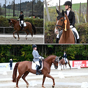 Frauenpower im Dressursattel