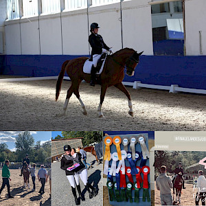 Landesjugendcup in Pforzheim: Grete Fritsch reitet ihren Quirinus auf den 4. Platz - mega!