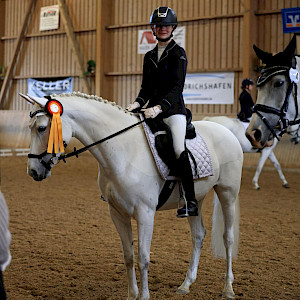 Erfolge - SuccessStories: Unser Turnier in Ailingen - Sonntag, WBO, 03 Dressur-Wettbewerb (E 6/2)