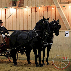 Herzliche Weihnachtsgrüße vom RFV-Ailingen e.V.