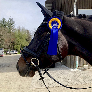 Hauerz und PSK-Jugend-Cup laden Dressur- und Springreiternachwuchs ein!