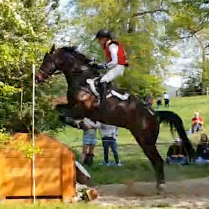 Vielseitigkeitsevent Marbach bei Sommer-Sonnenschein: Carla mit Luv im Flow!