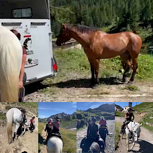 The News: Wanderreiten Alpenüberquerung - Tag 6 mit Caro & Wolfgang