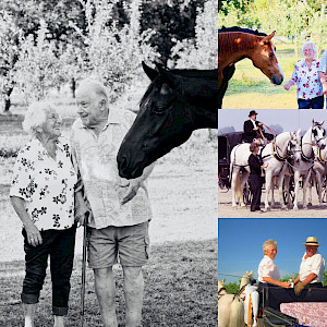Der RFV Ailingen gedenkt eines lieben Gründungsmitglieds - Mathilde Litz geb. Stotz, unterwegs zu den ewigen Wiesen!