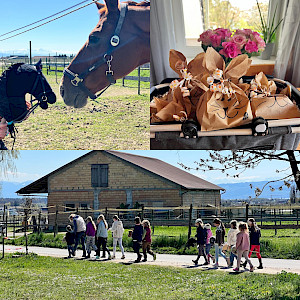 Hobby Horsler wild & querfeldein - erfolgreich auf Hasenjagd!