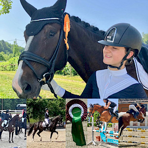 Dressurgold in Krumbach & Springschleifen in Illertissen und Isny