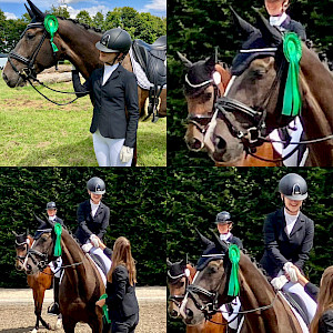 Pfullendorf mit Dressurschleifennachtrag: Youngstererfolg im Viereck!