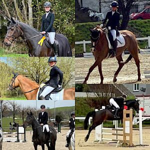 ✨ Erfolgreiche Quali-Turnierwochenenden in Krumbach‑Tettnang & Hauerz: Dressur & Springen starten sensationell!